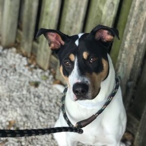 Meet your Posher, Jason